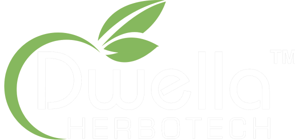 Dwella Logo - 1